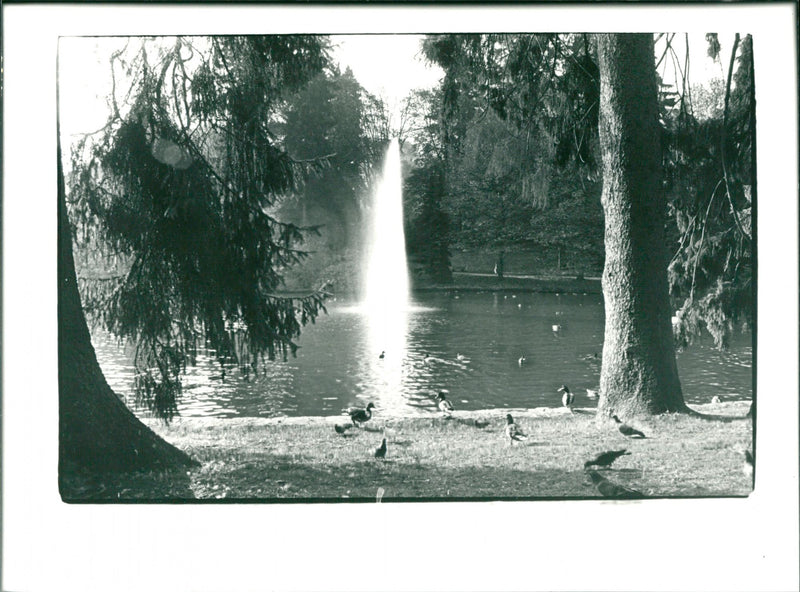 Bad Schwalbach - Vintage Photograph