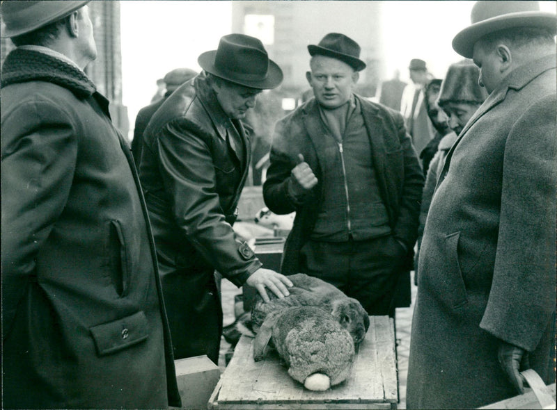 Hamburg - A Film Feuilleton by Peter Kassowitz (1969) - Vintage Photograph
