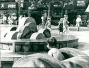 Fountain on the Frankfurt Freßgass - Vintage Photograph