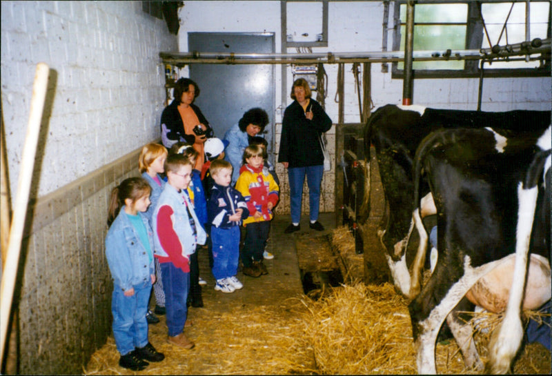 1998 FNP day care center - Vintage Photograph