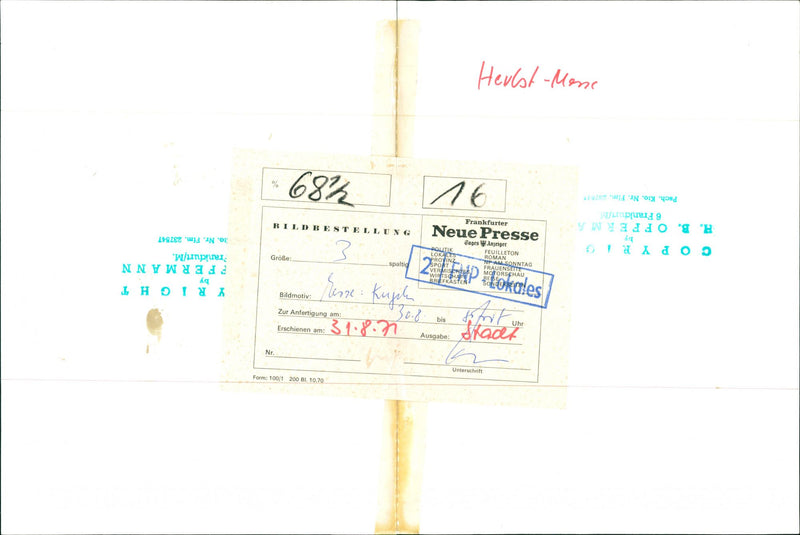 1971 Autumnuesse - AutumnUesse Nessen - Autumnuesse Fowe. Wesent - Vintage Photograph