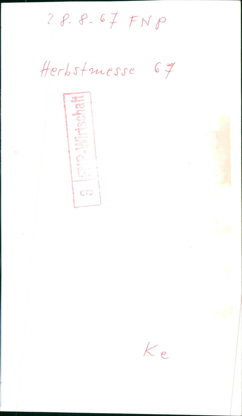 1967 Nessen - AutumnUesse - Vintage Photograph