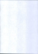 Model of the Melanchthon church - Vintage Photograph