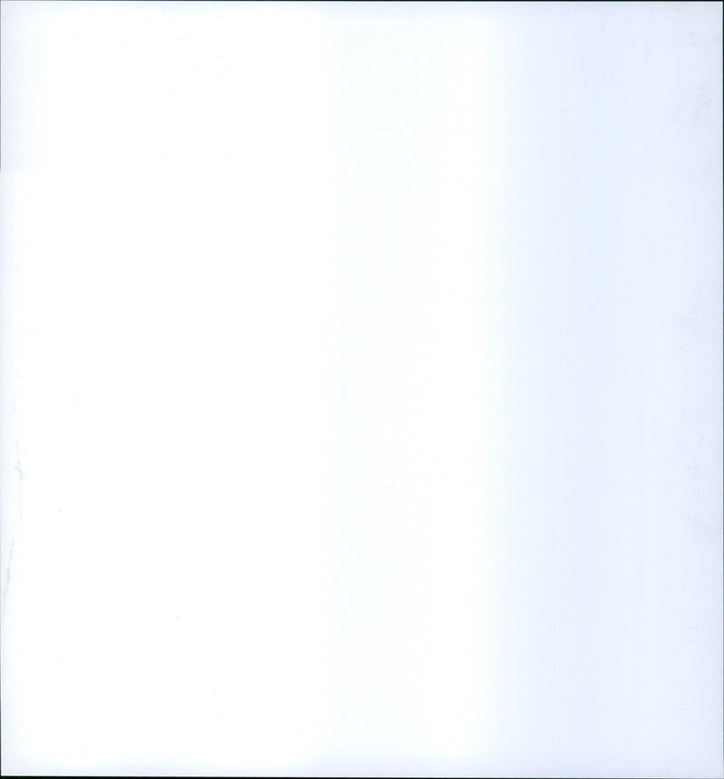 Penguins in the Frankfurt Zoo - Vintage Photograph