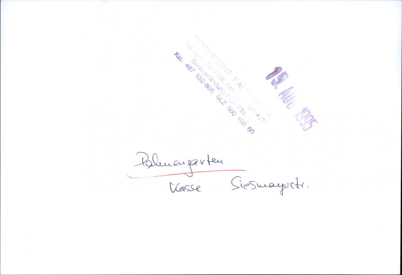 1995 concerts of Siesmagusto - Vintage Photograph