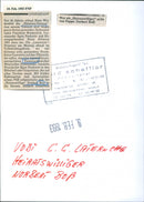 1993 Ffm. Carnival - Vintage Photograph