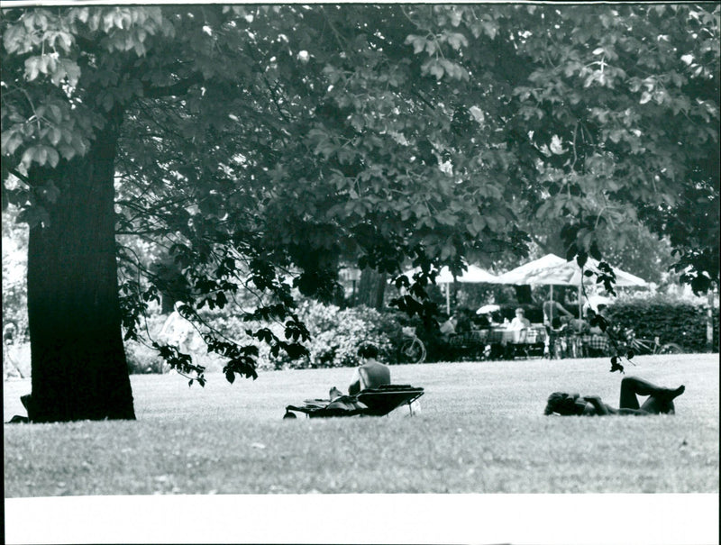 Lohrbergpark - Vintage Photograph