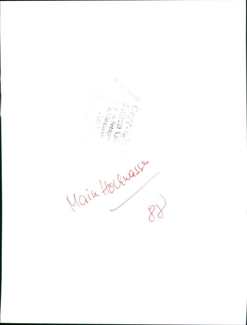 Main flood - Vintage Photograph