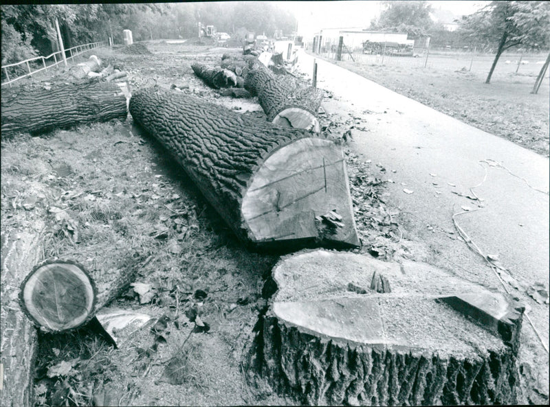 Harheim bleach - Vintage Photograph