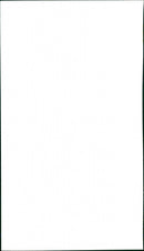 Roy Jenkins - Vintage Photograph