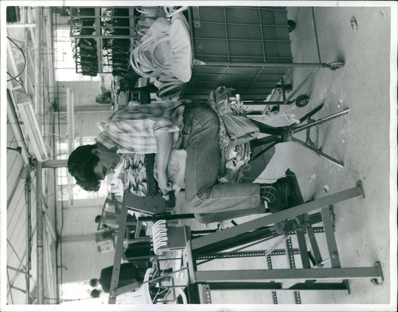 - Vintage Photograph