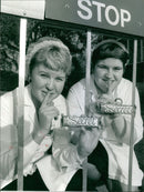 - Vintage Photograph