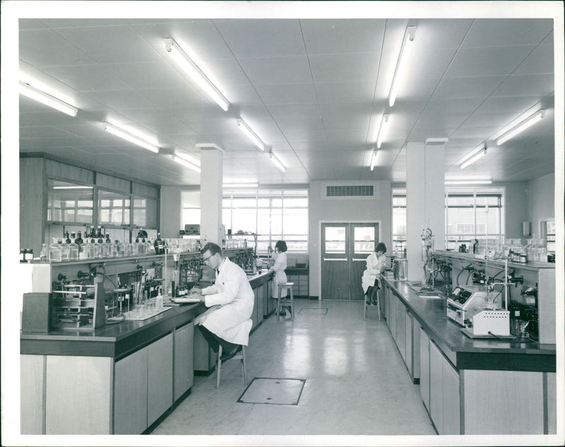 - Vintage Photograph
