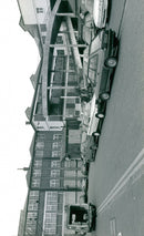 - Vintage Photograph