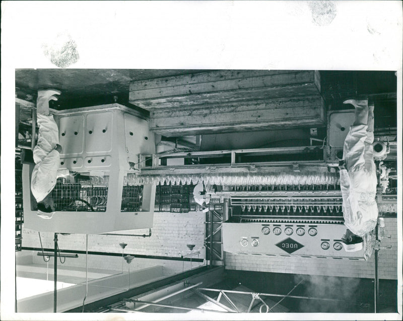 - Vintage Photograph