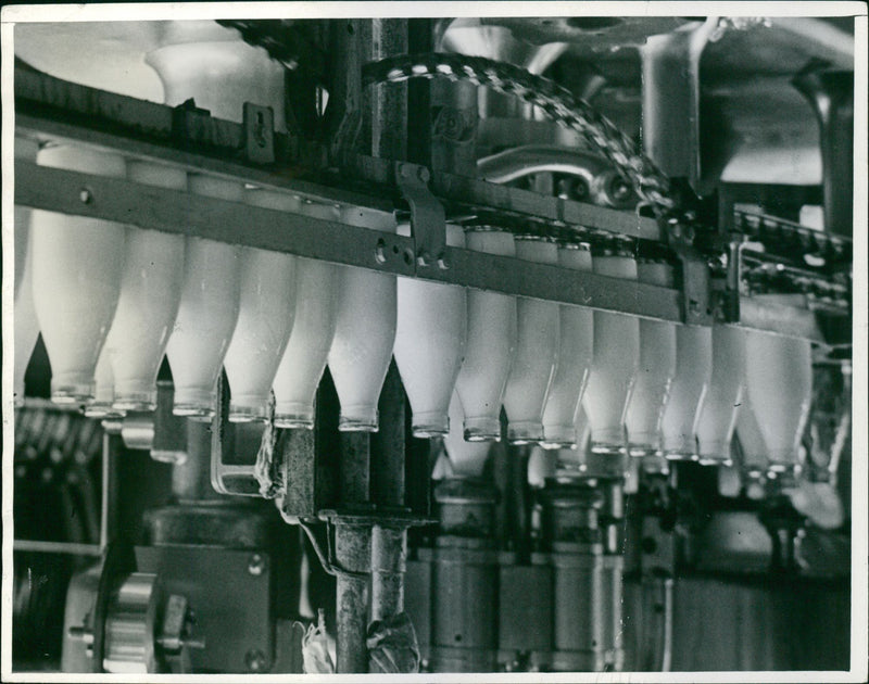 - Vintage Photograph