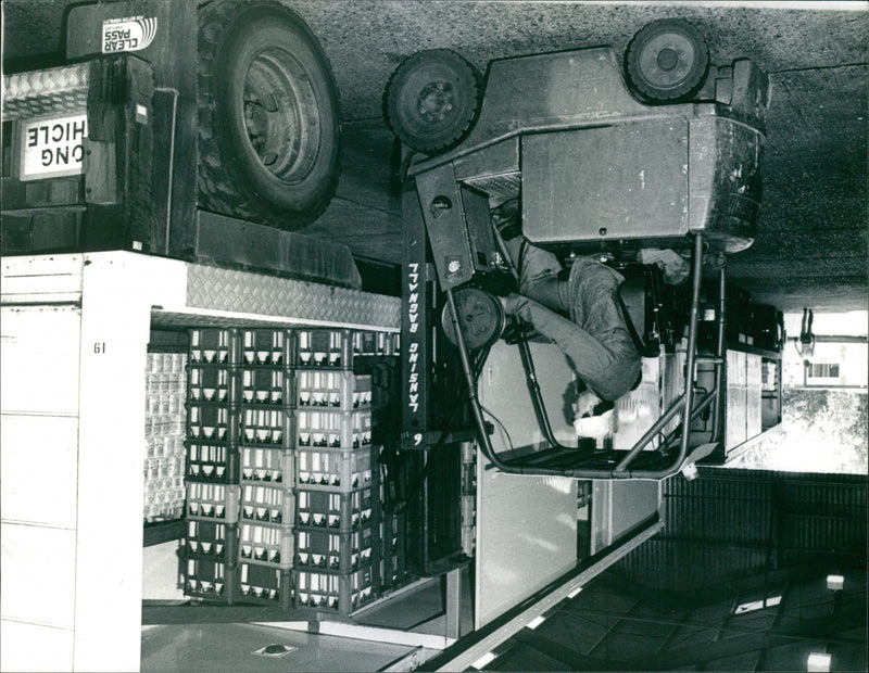 - Vintage Photograph