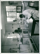 - Vintage Photograph