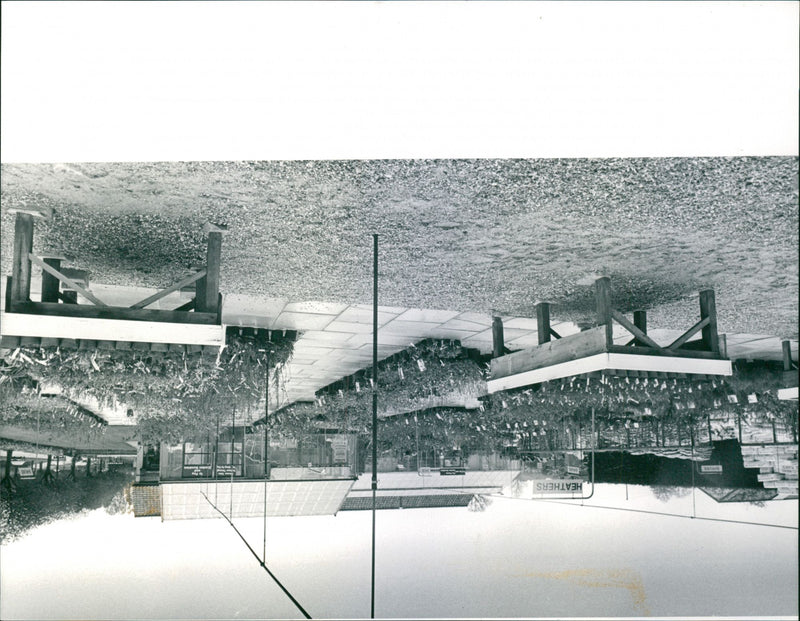 - Vintage Photograph