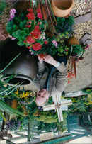 - Vintage Photograph