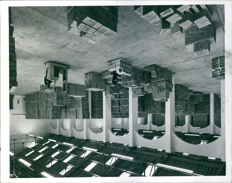 - Vintage Photograph