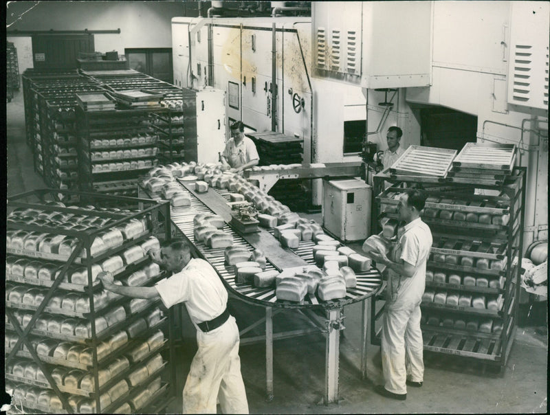 - Vintage Photograph