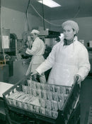 - Vintage Photograph