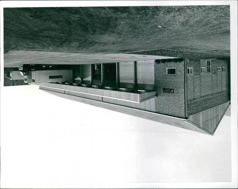 - Vintage Photograph