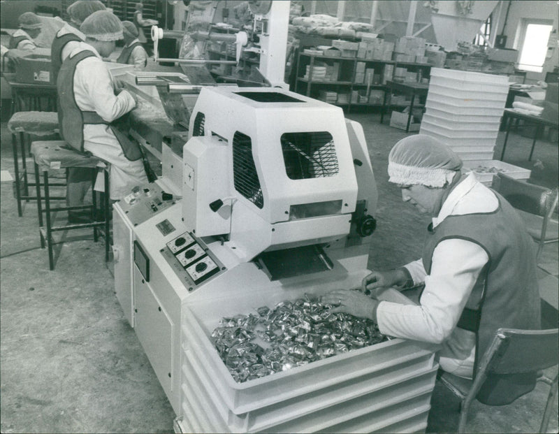 - Vintage Photograph