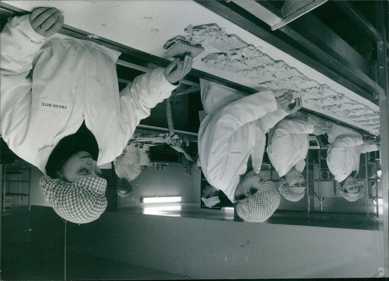 - Vintage Photograph