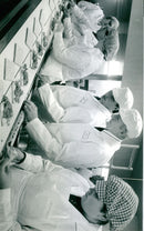 - Vintage Photograph