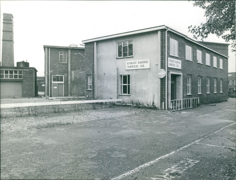 - Vintage Photograph