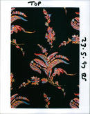 - Vintage Photograph