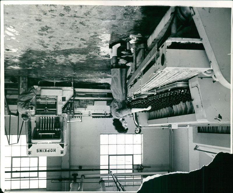 - Vintage Photograph