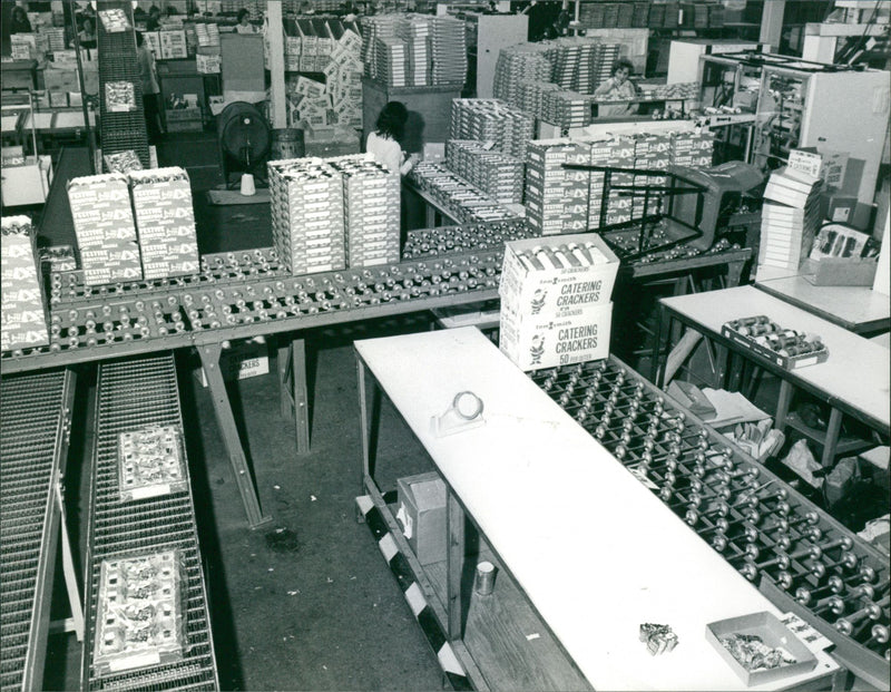 - Vintage Photograph