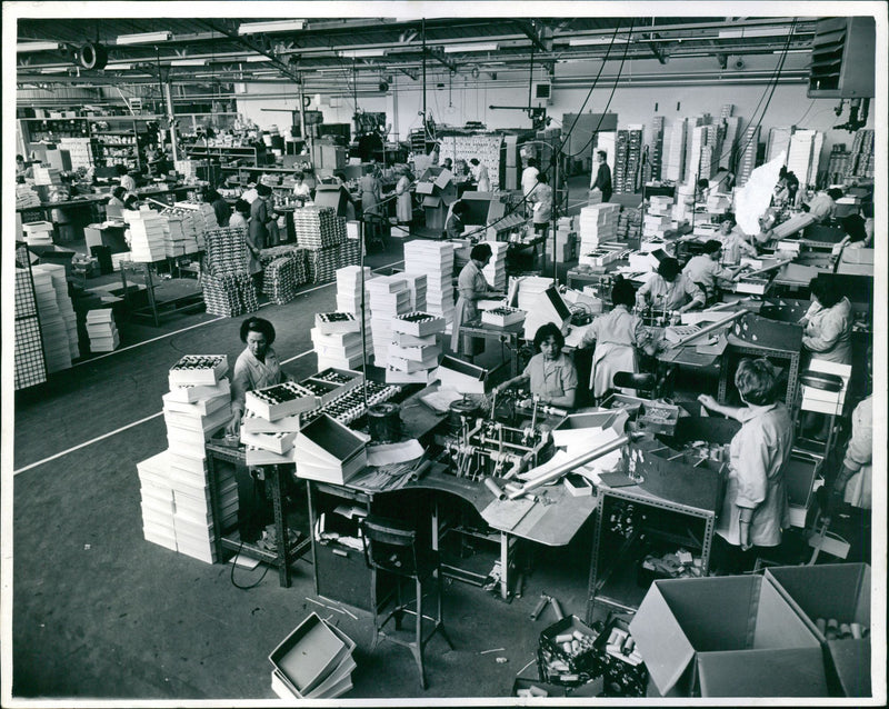 - Vintage Photograph