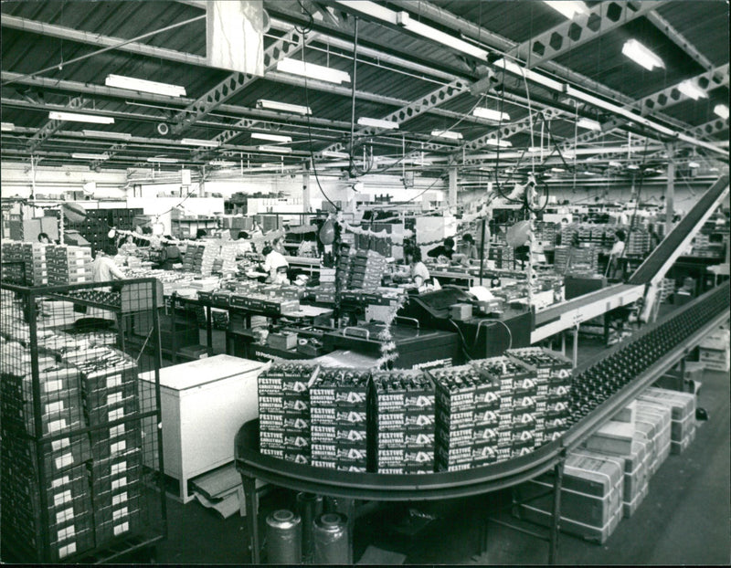 - Vintage Photograph