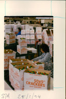 - Vintage Photograph