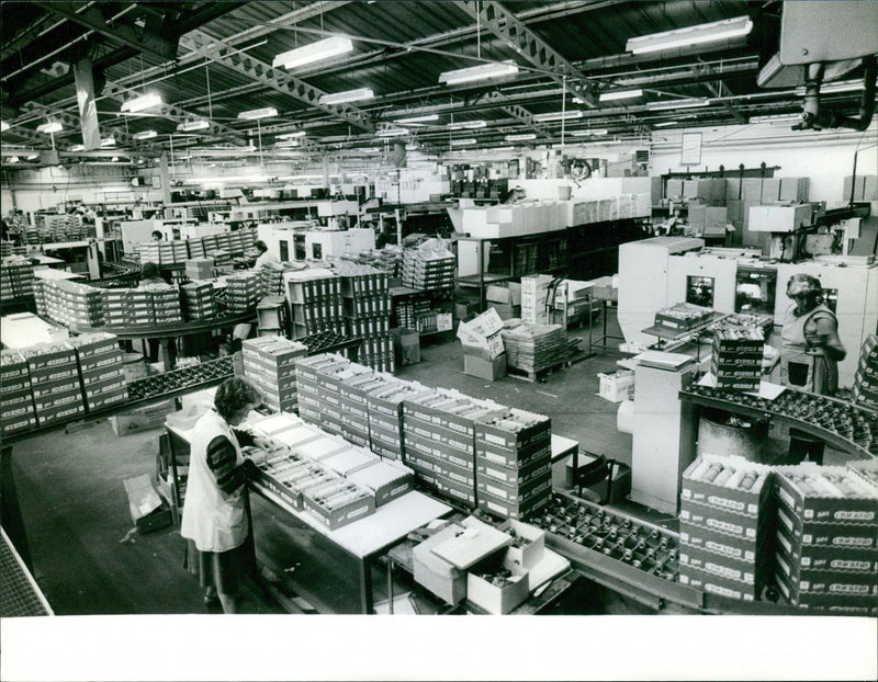 - Vintage Photograph