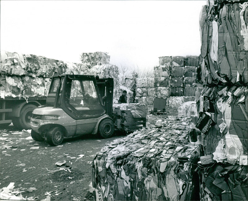 - Vintage Photograph