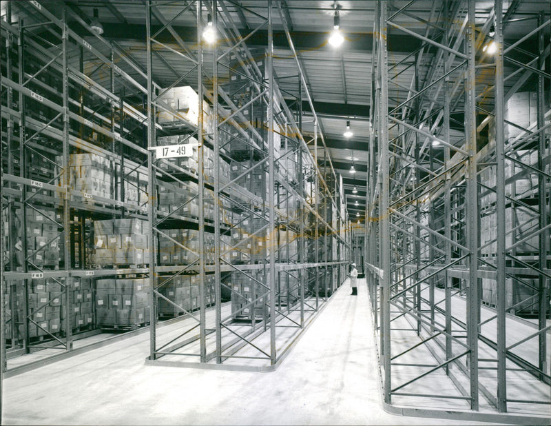 - Vintage Photograph