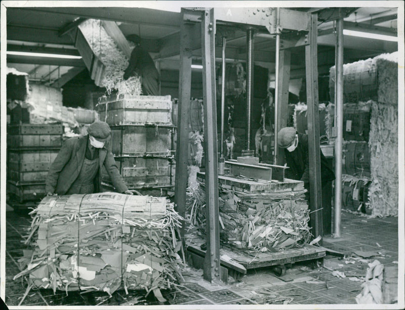 - Vintage Photograph