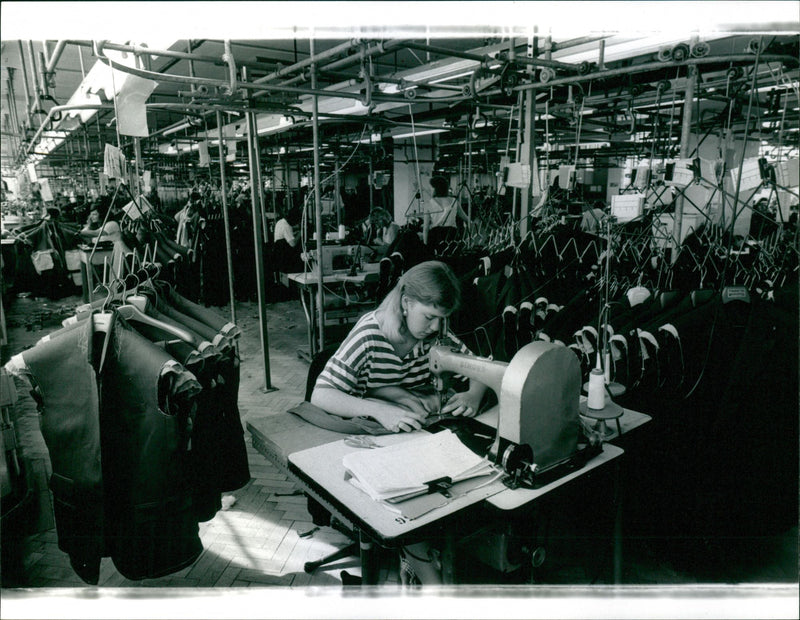 - Vintage Photograph