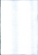 - Vintage Photograph