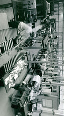 - Vintage Photograph