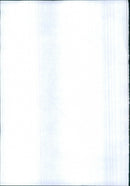 - Vintage Photograph