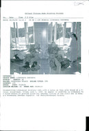 Lithuania Chechnya - Vintage Photograph