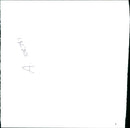 - Vintage Photograph