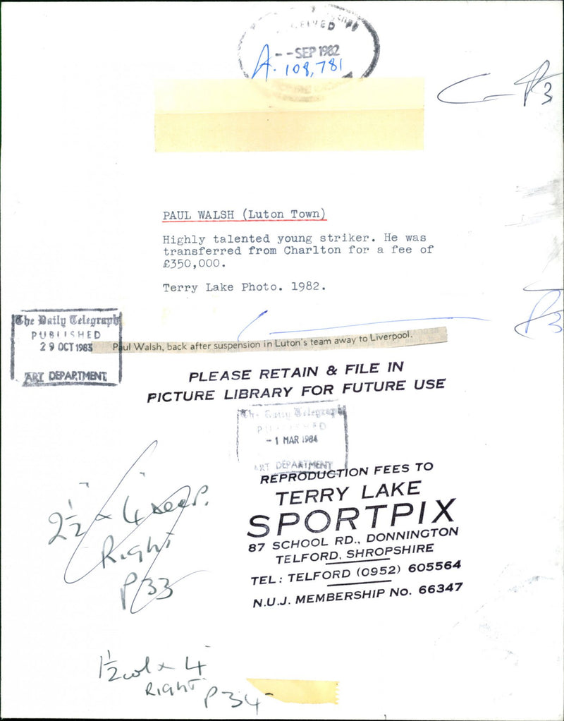 - Vintage Photograph