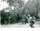 Indonesian Soldiers walking through the river during war. 1962 - Vintage Photograph